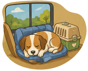 sleeping dog graphic